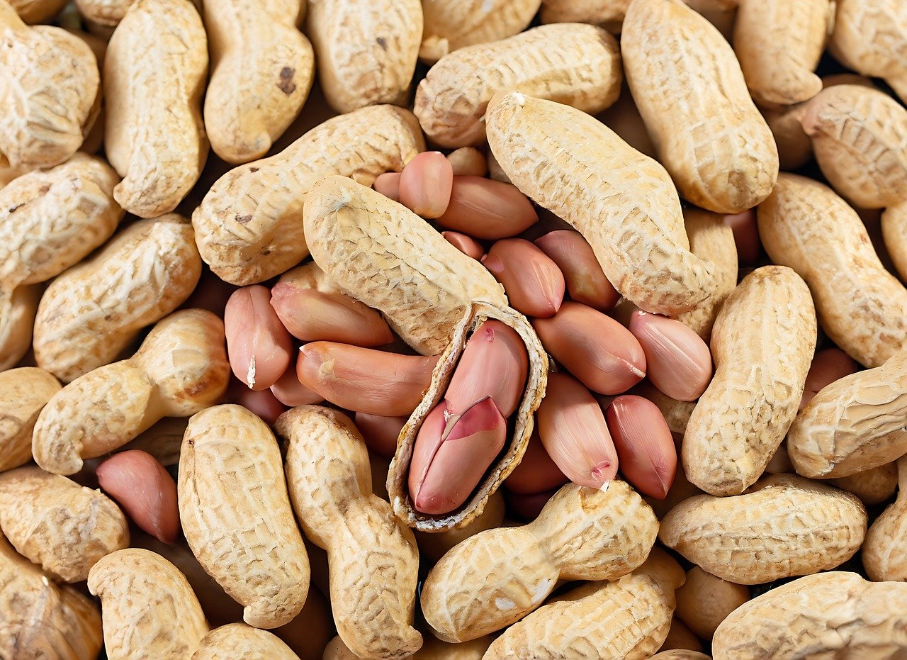 Groundnuts